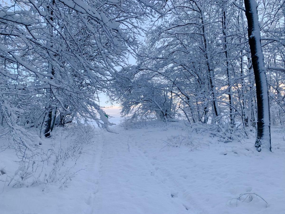 Ferienwohnung Inmitten Der Natur Mit Sauna Steinau an der Straße Zewnętrze zdjęcie